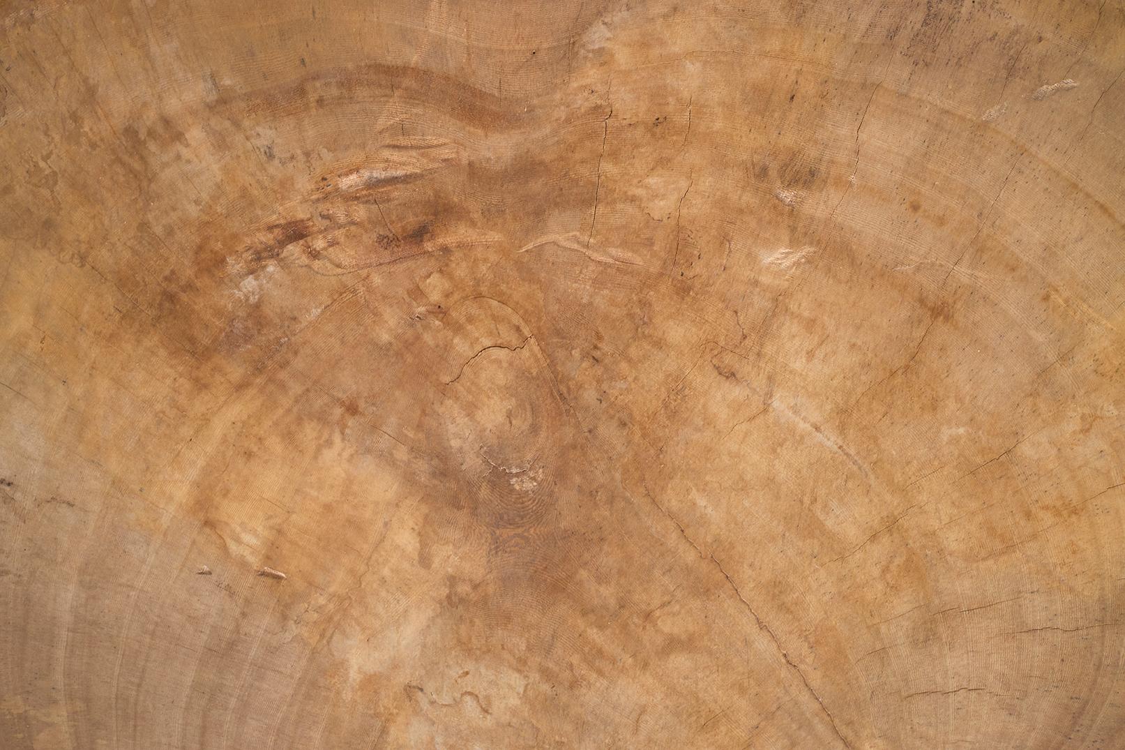 Mesa baja de madera varada con forma orgánica 1