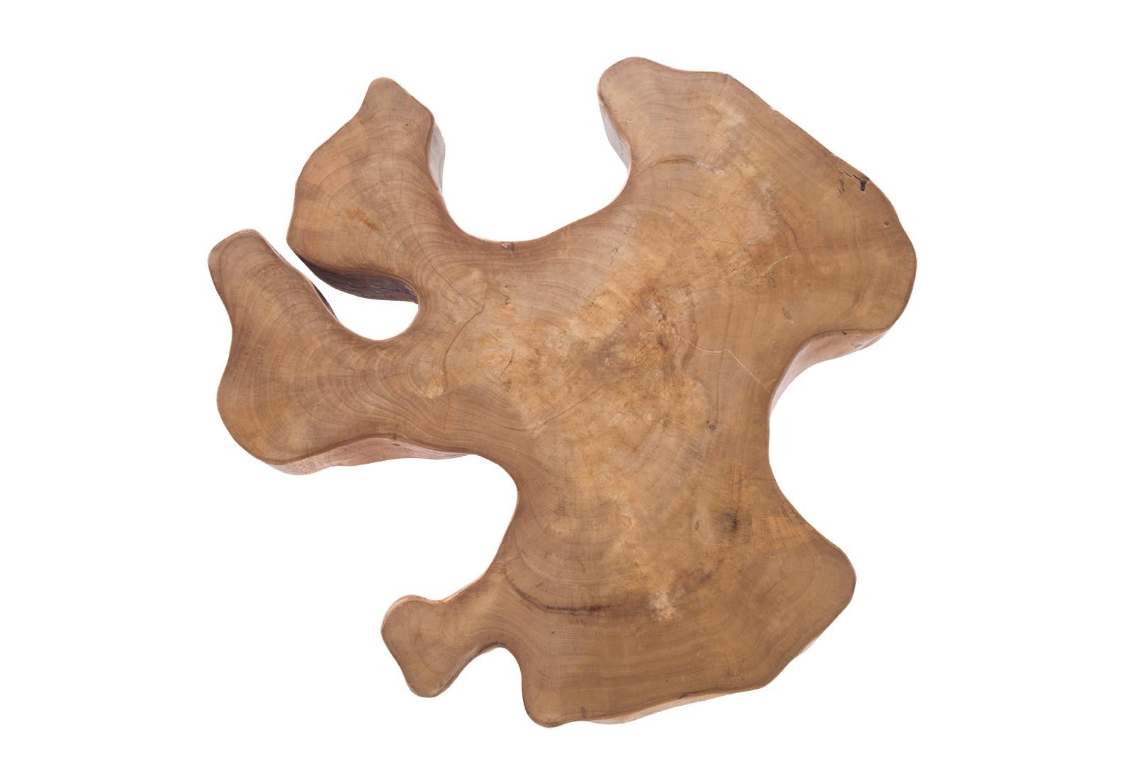 Mesa baja de madera varada con forma orgánica 3