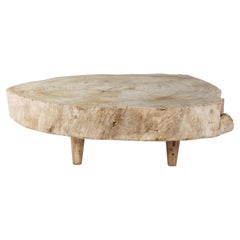 Organic Form Bleached Lychee Wood Coffee Table 