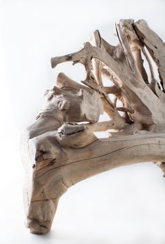 Organic Form Bleached Teak Bench