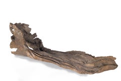 Organic Form Driftwood Element