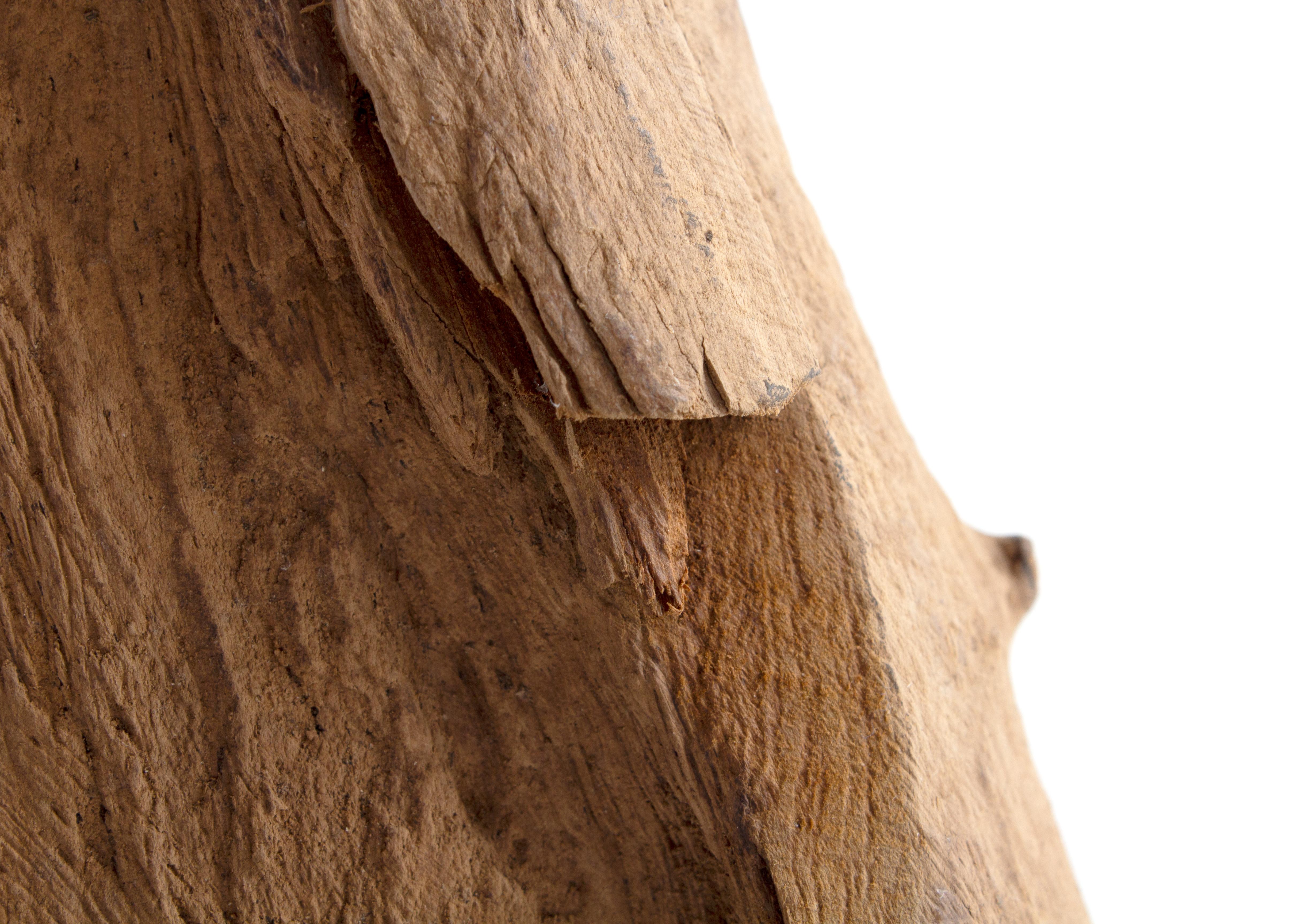 Organic form driftwood floor lamp.