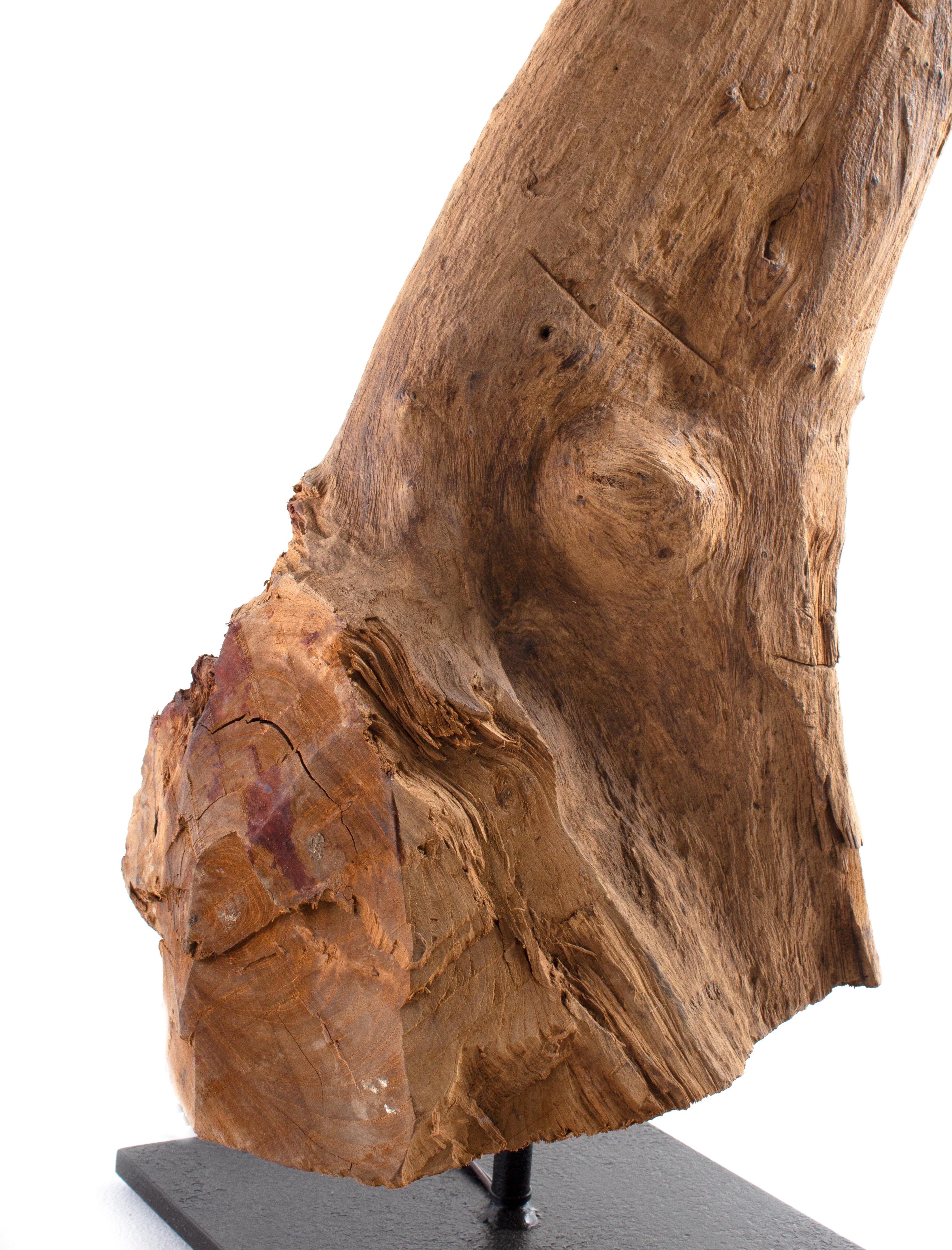 driftwood floor lamps