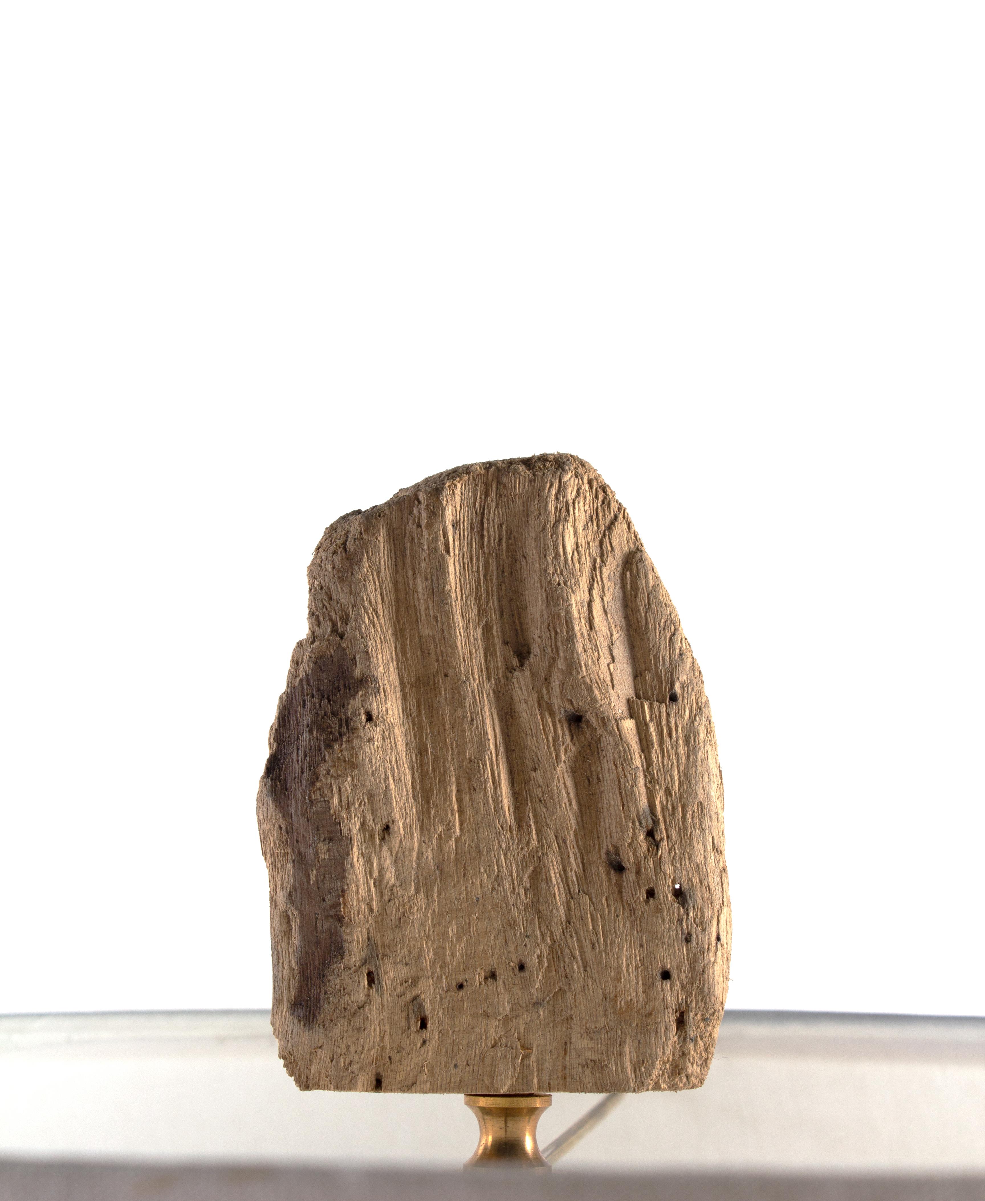 drift wood floor lamp