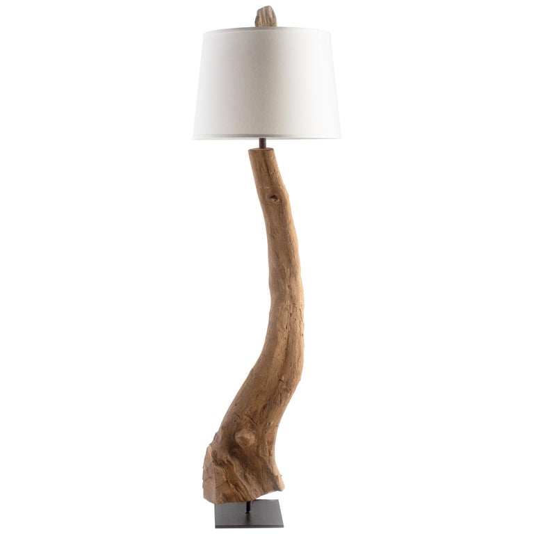 Organic Form Driftwood Floor Lamp at 1stDibs | driftwood floor lamps, drift  wood floor lamp, organic floor lamp
