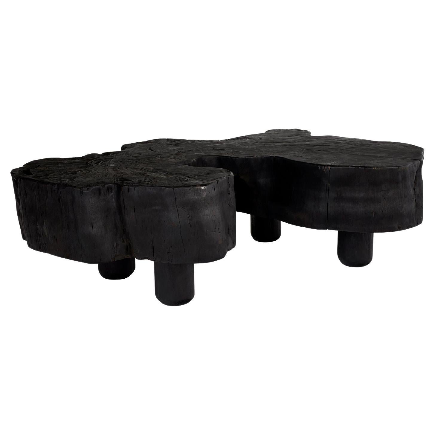 Organic Form Ebonized Lychee Wood Coffee Table For Sale