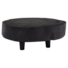 Organic Form Ebonized Lychee Wood Coffee Table