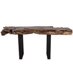Organic Form Lyche Wood Slab Top on Steel Mount