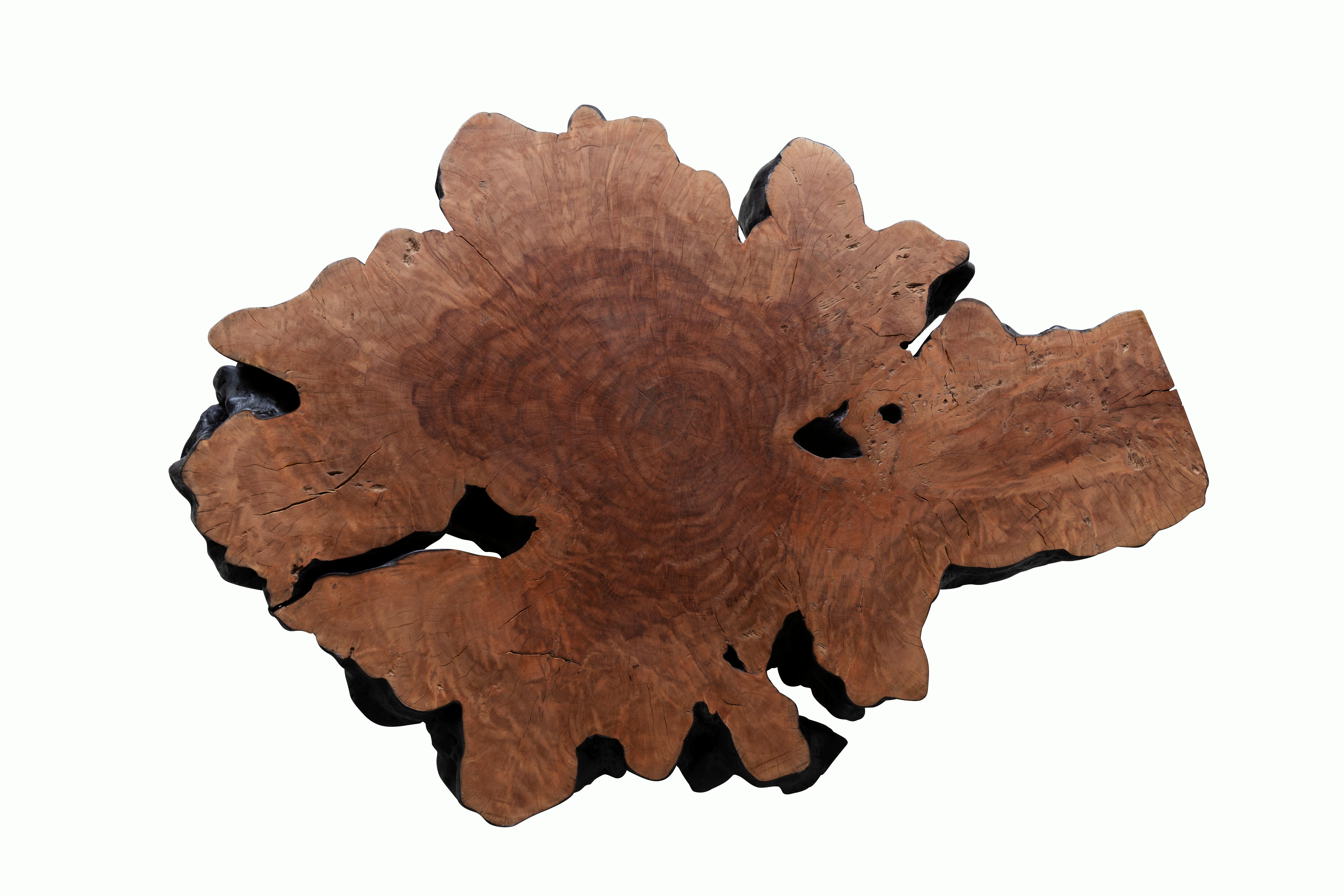 This coffee table is built from one single piece of lychee hardwood. The top is flattened, sanded, and then stained to compliment the wood's naturally rich texture and rustic patterns. The sides are kept in their natural organic shape and then