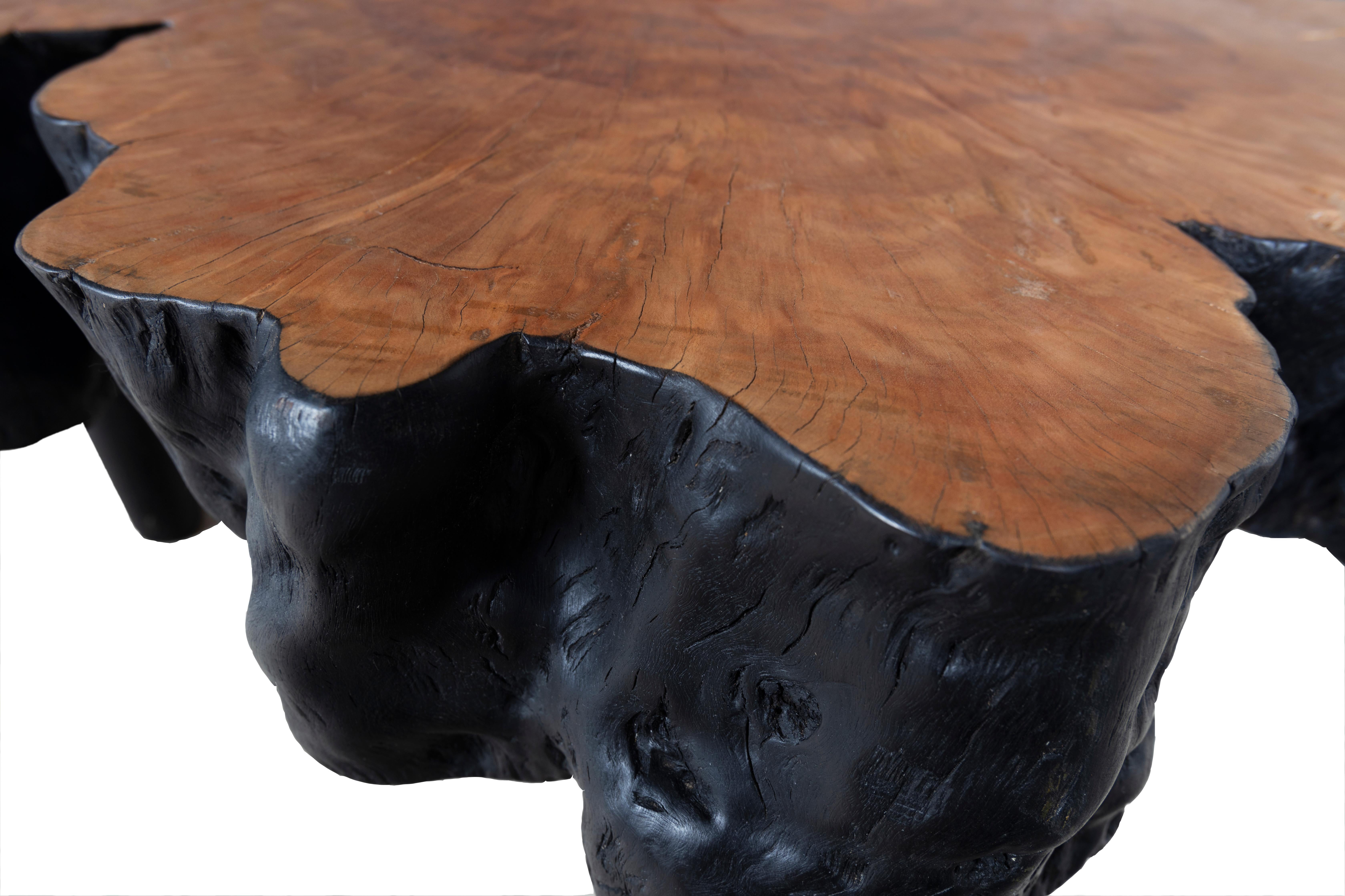 Organic Modern Organic Form Lychee Coffee Table with Ebonized Black Sides and Red Top