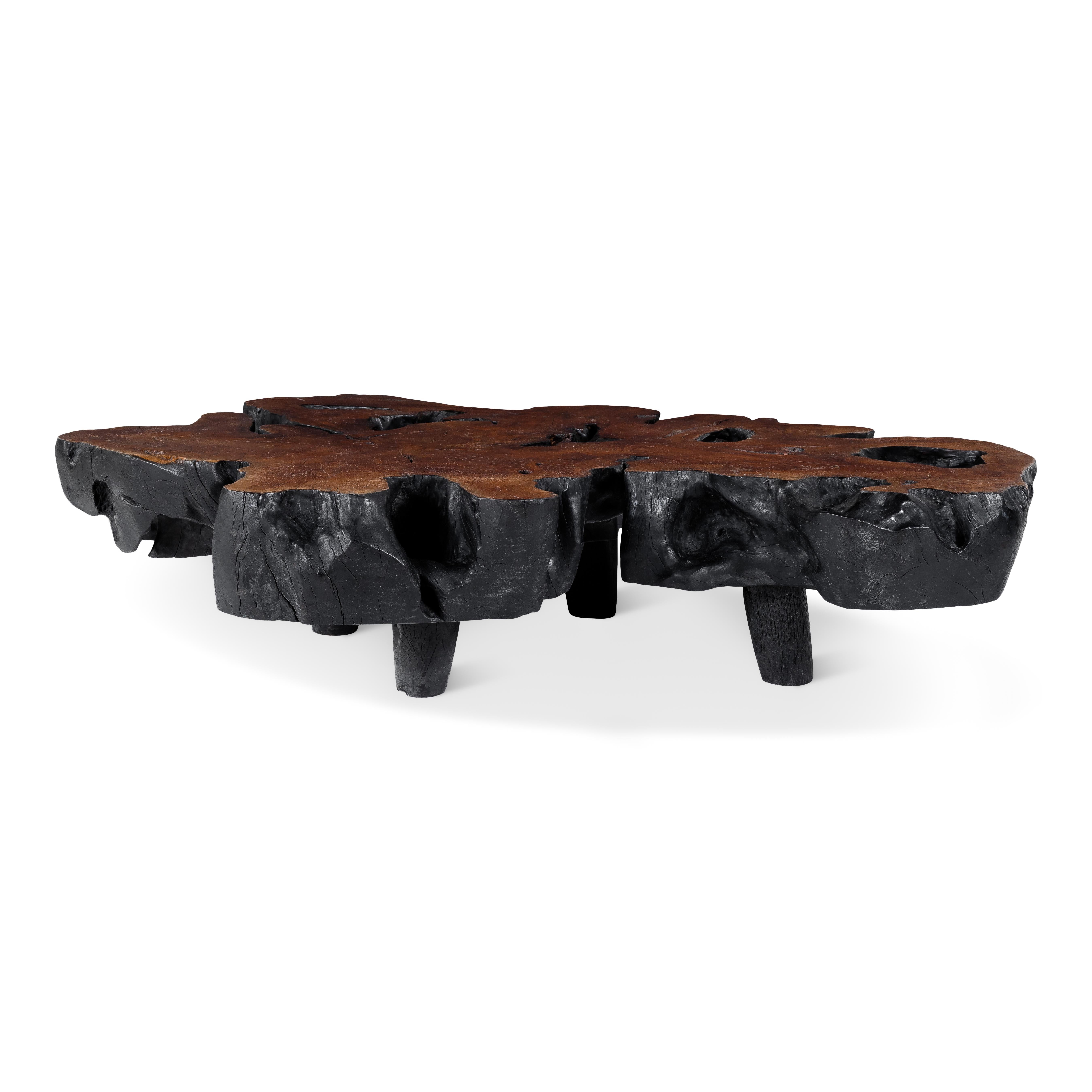 Organic Modern Organic Form Lychee Wood Coffee Table 