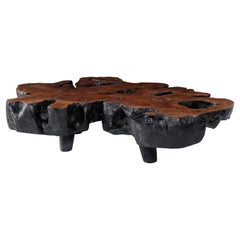 Organic Form Lychee Wood Coffee Table