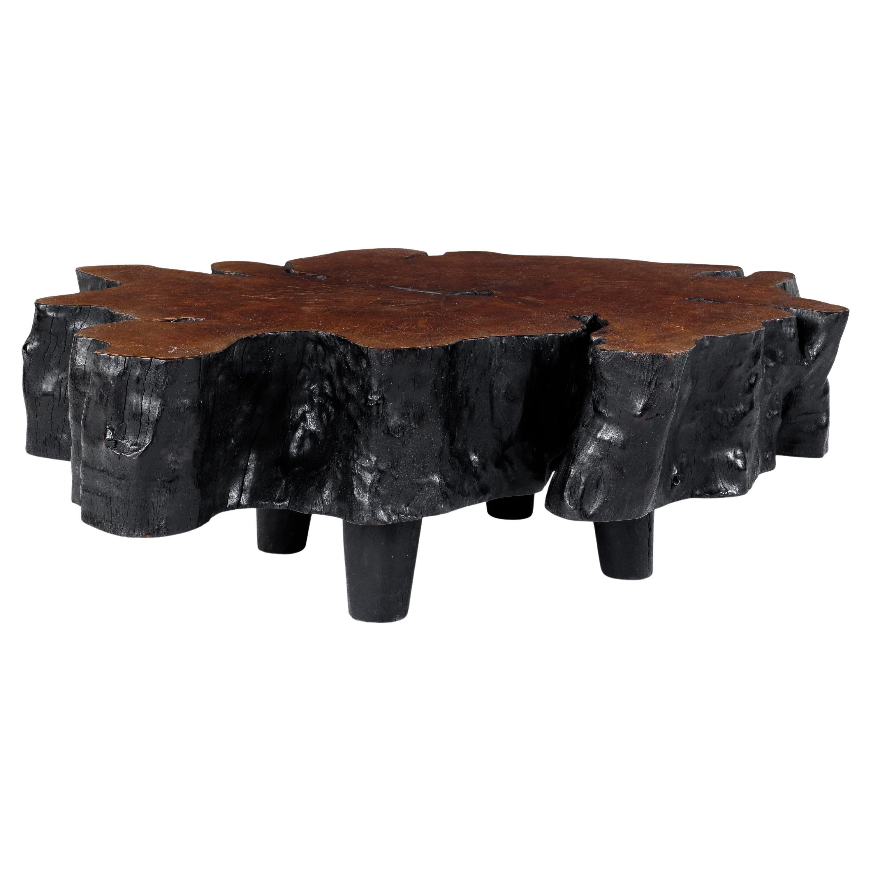 Table basse en bois de lyche de forme organique