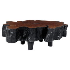 Organic Form Lychee Wood Coffee Table