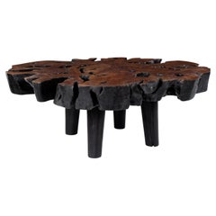 Organic Form Lychee Wood Coffee Table