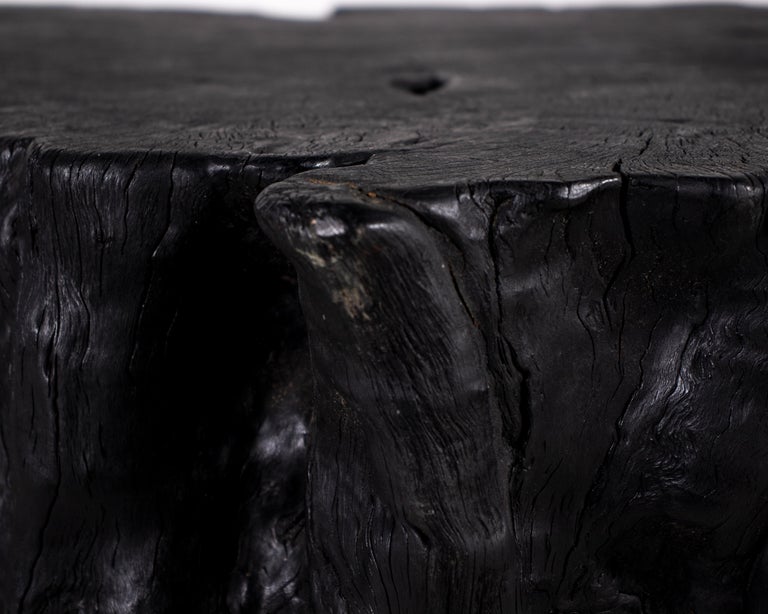 Belgian Organic Form Lychee Wood Coffee Table in an Ebony Finish For Sale