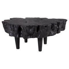 Organic Form Lychee Wood Coffee Table in an Ebony Finish