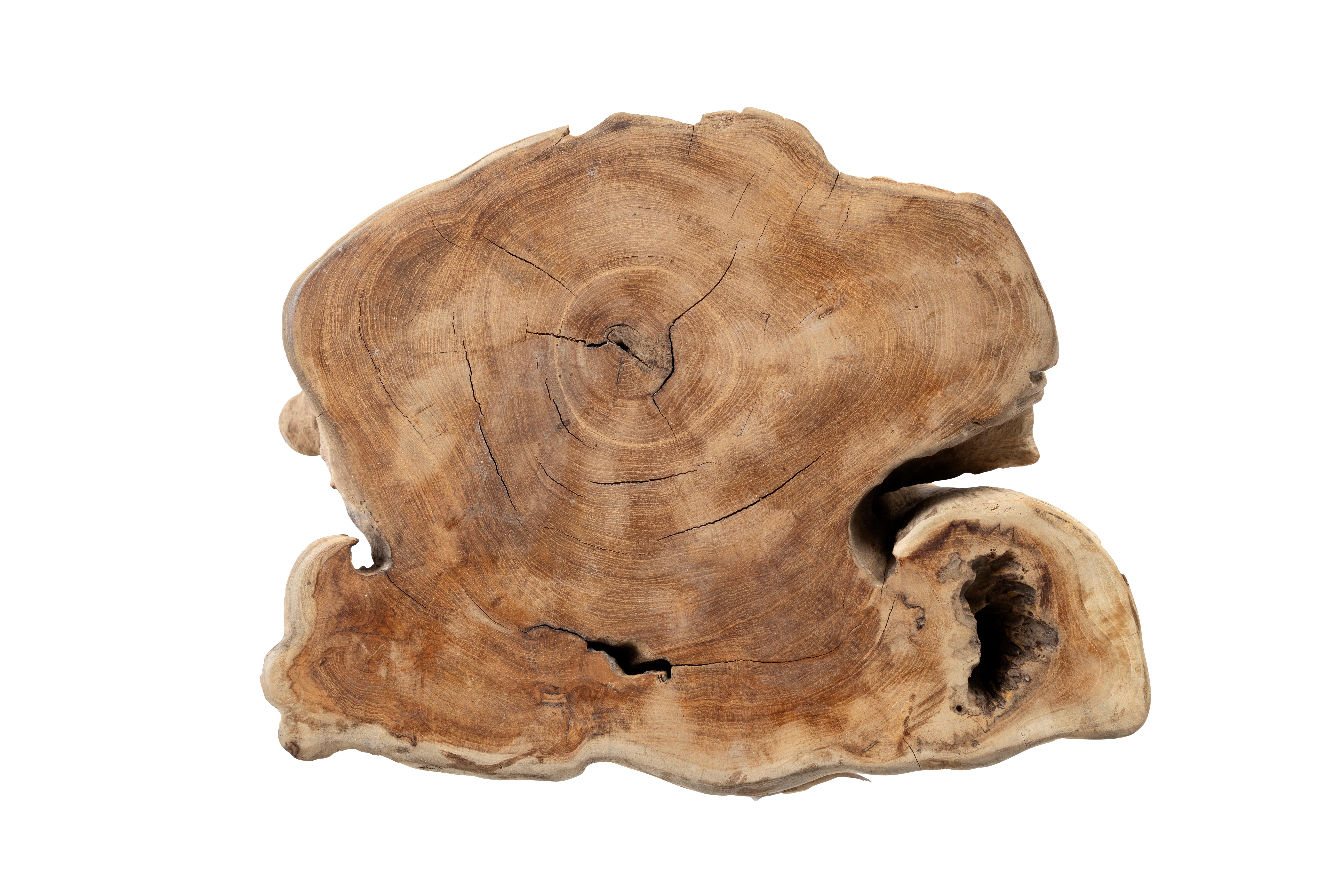 Organic Modern Organic Form Lychee Wood Side Table  For Sale