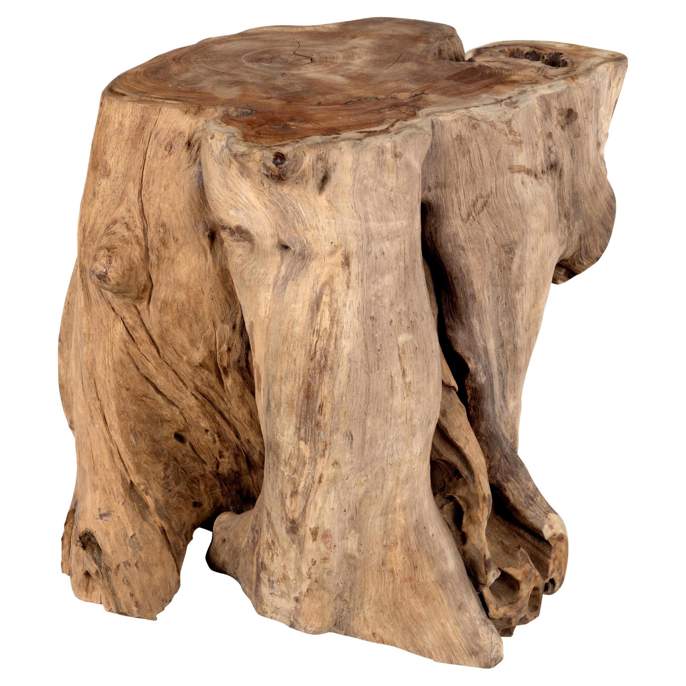 Organic Form Lychee Wood Side Table  For Sale