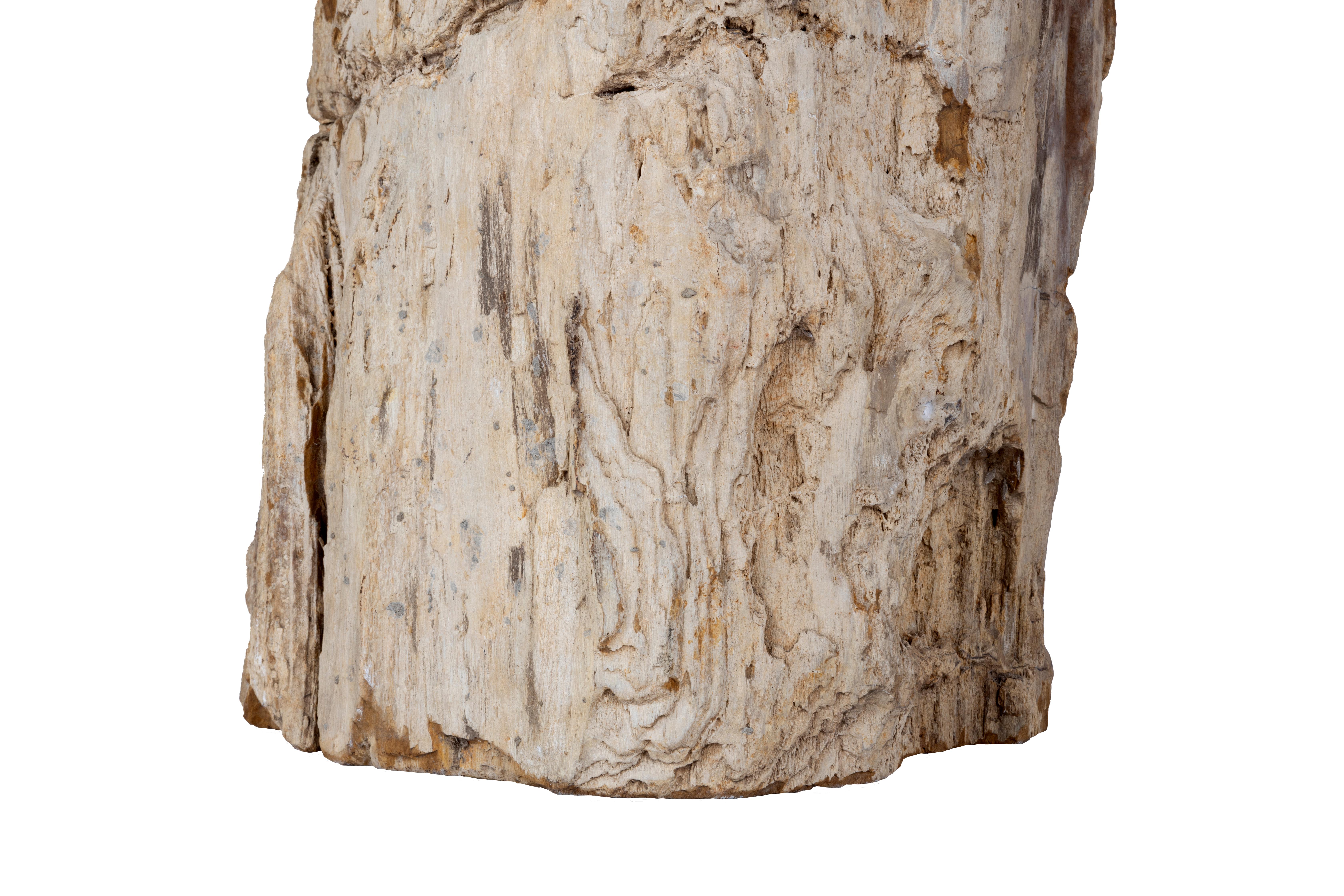 Organic Form Petrified Stump End Table  In Good Condition For Sale In Dallas, TX