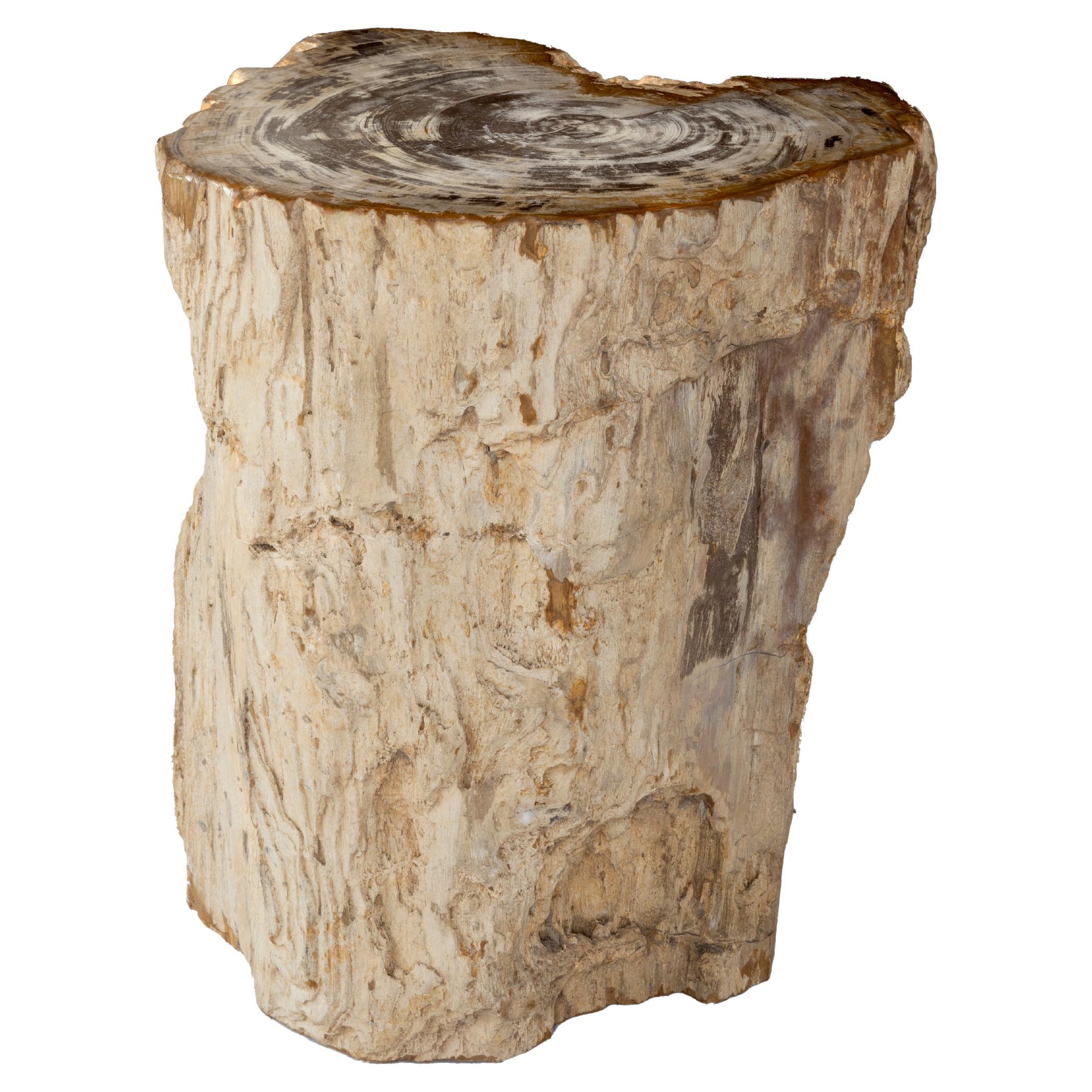 Organic Form Petrified Stump End Table  For Sale