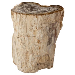Vintage Organic Form Petrified Stump End Table 