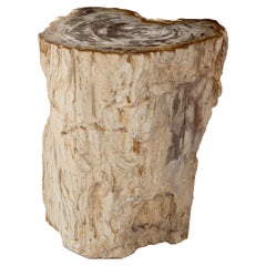 Organic Form Petrified Stump End Table
