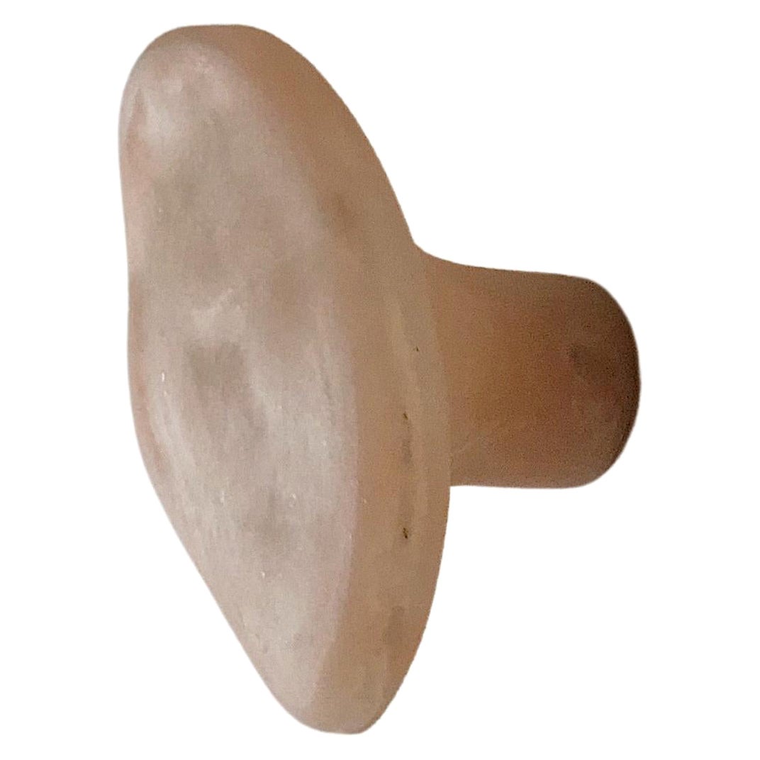 Organic Form, Rose Pink Fiberglass Hook by kar For Sale