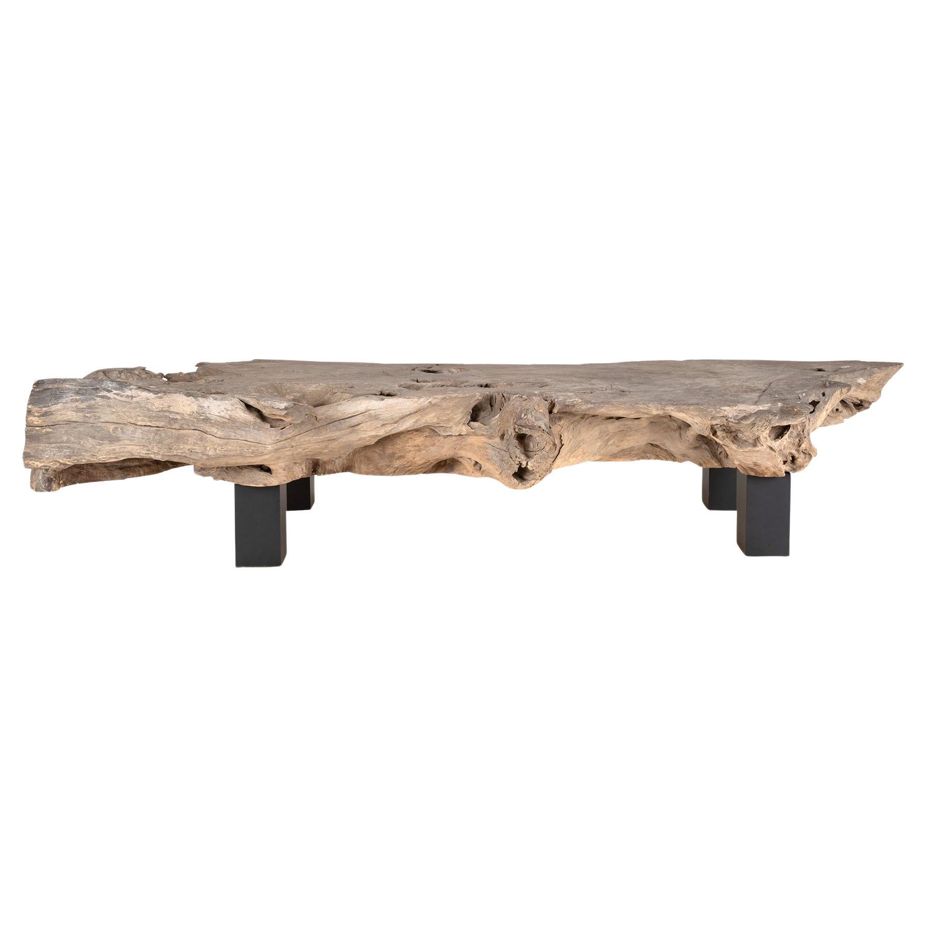 Organic Form Slice on Steel Base Coffee Table