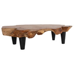Organic Form Teak Coffee Table