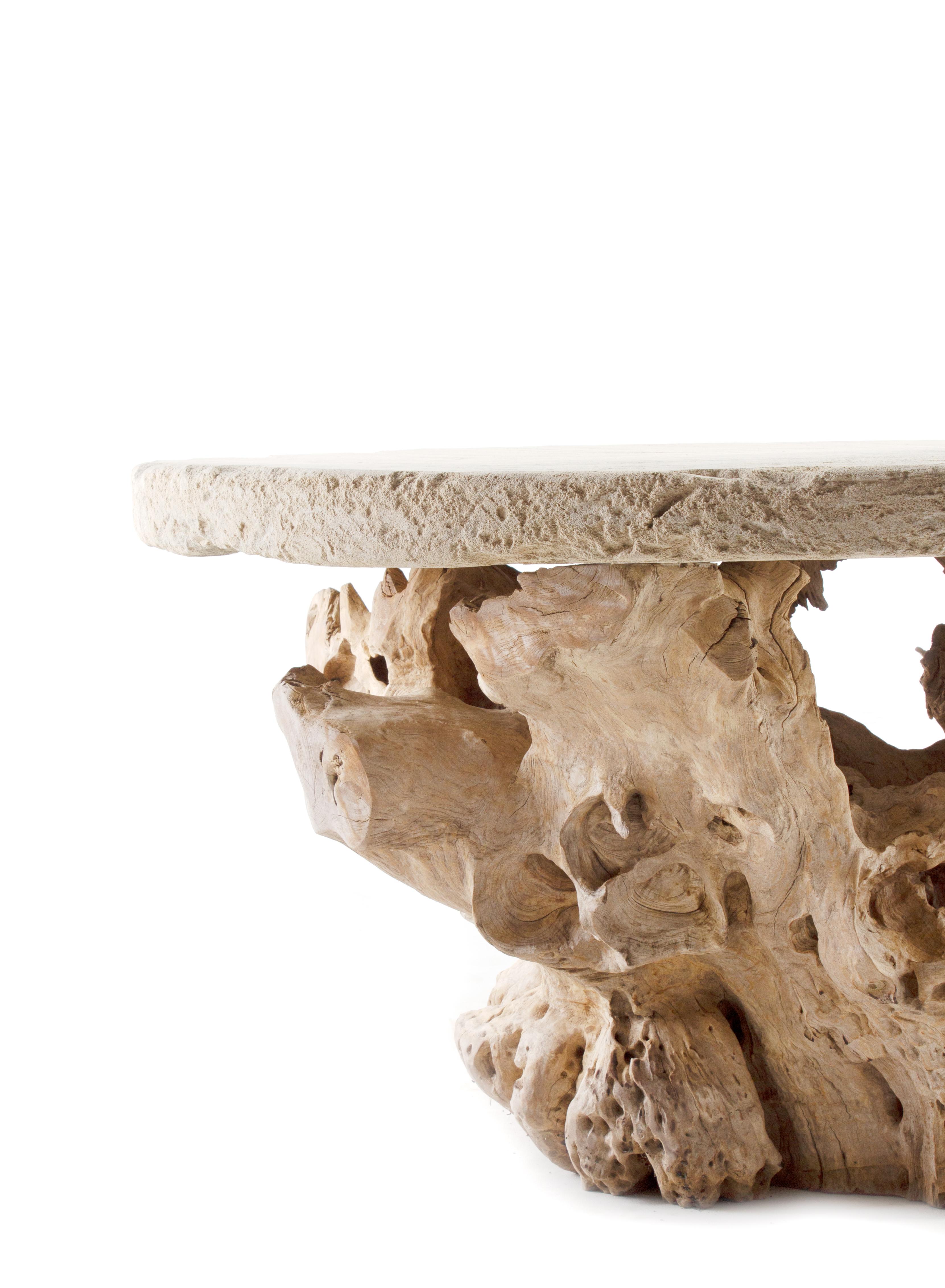 French Organic Form Teak Root Base