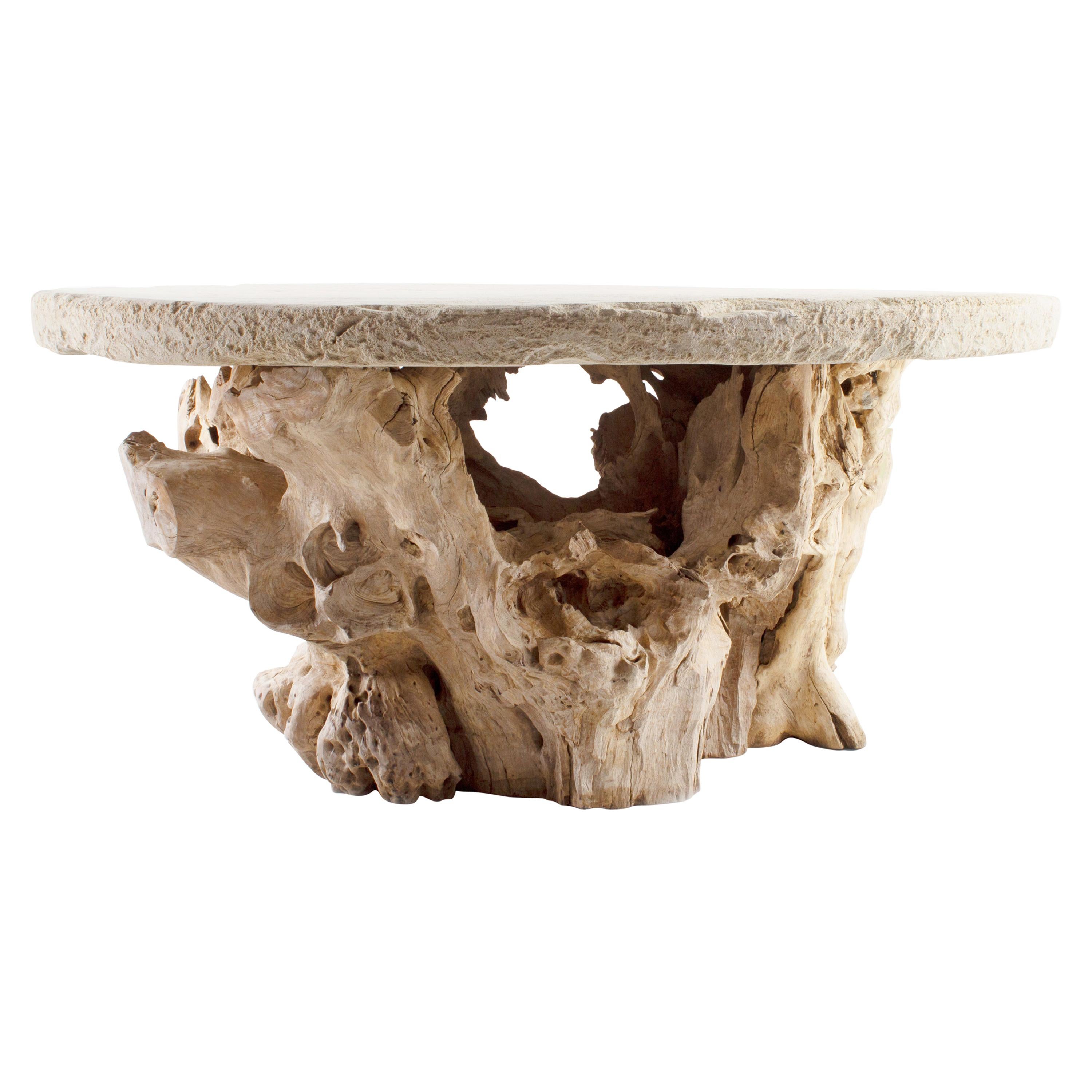 Organic Form Teak Root Base