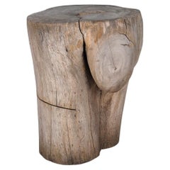 Organic Form Teak Side Table
