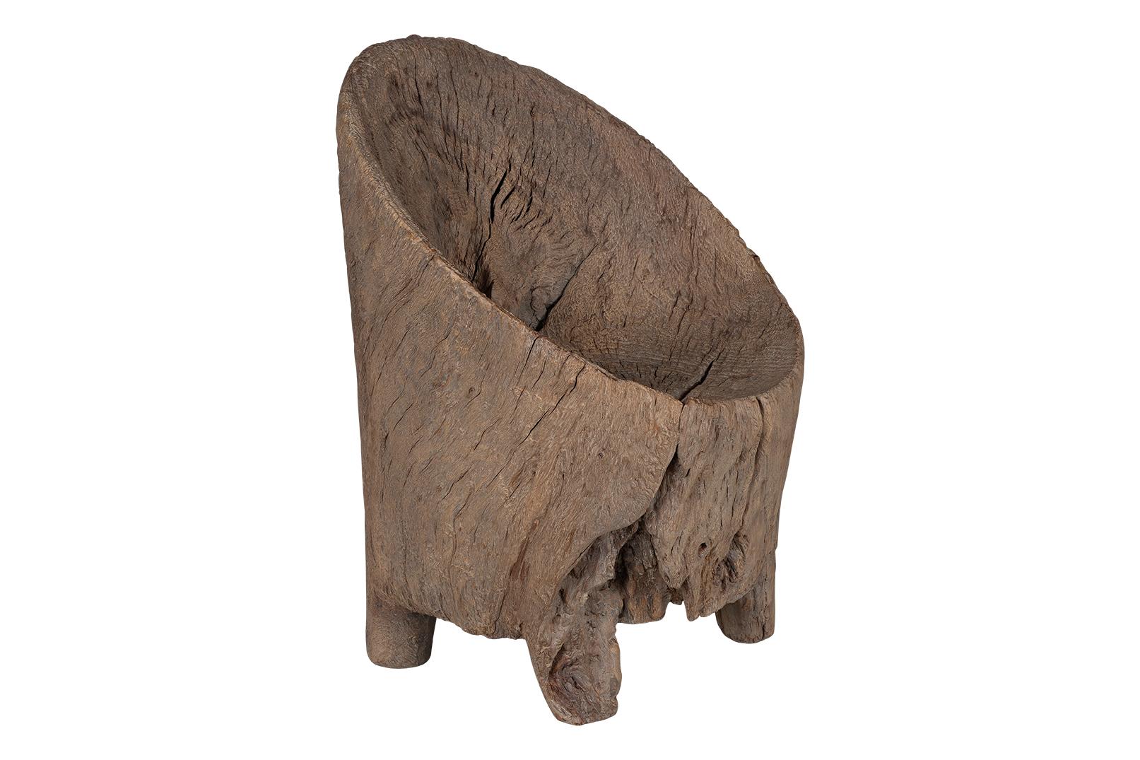 Organic Modern Organic Form Trunk Chair For Sale