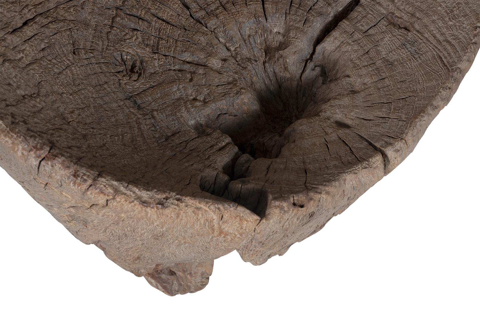 20th Century Organic Form Trunk Chair For Sale