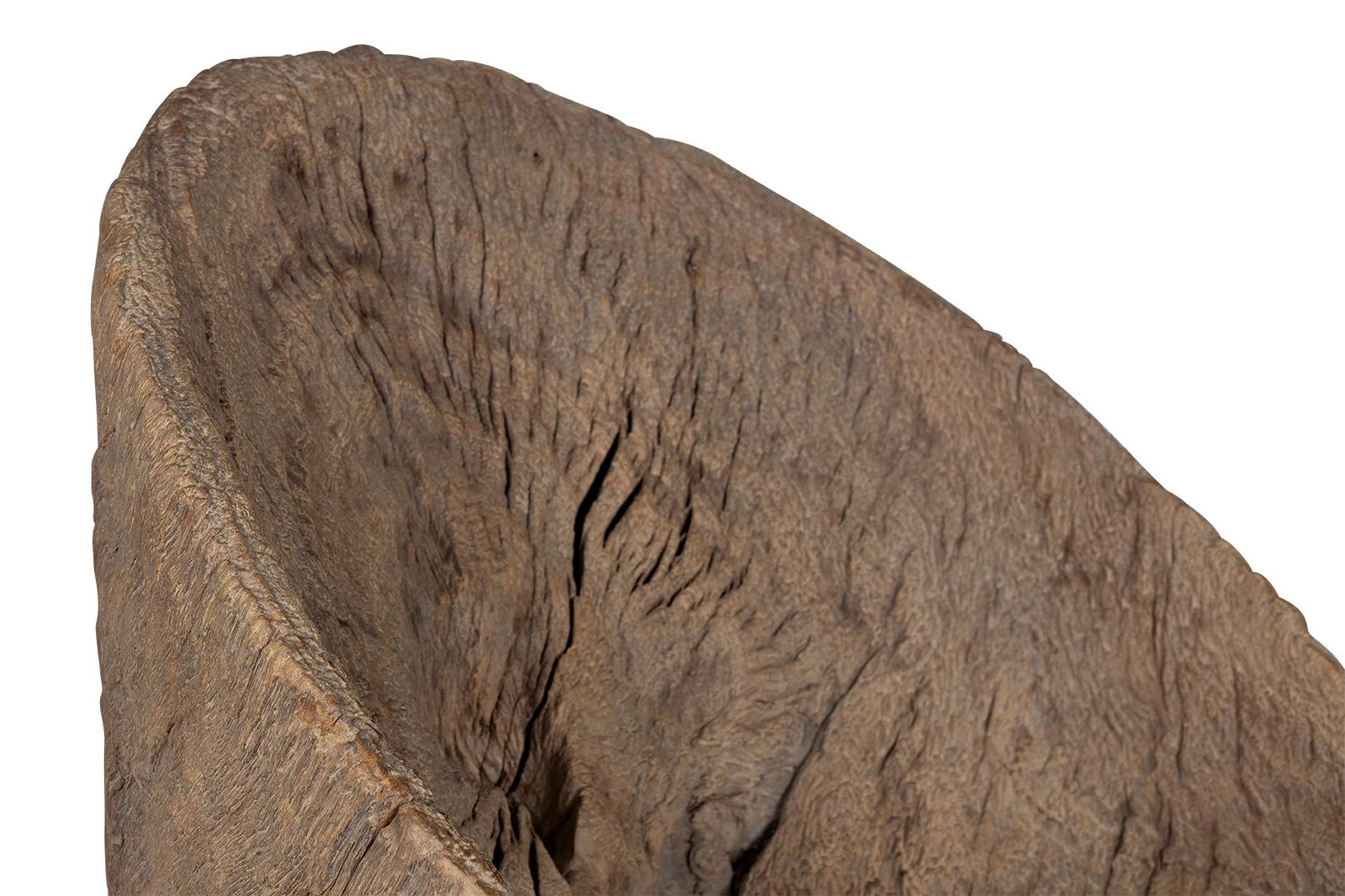 Wood Organic Form Trunk Chair For Sale