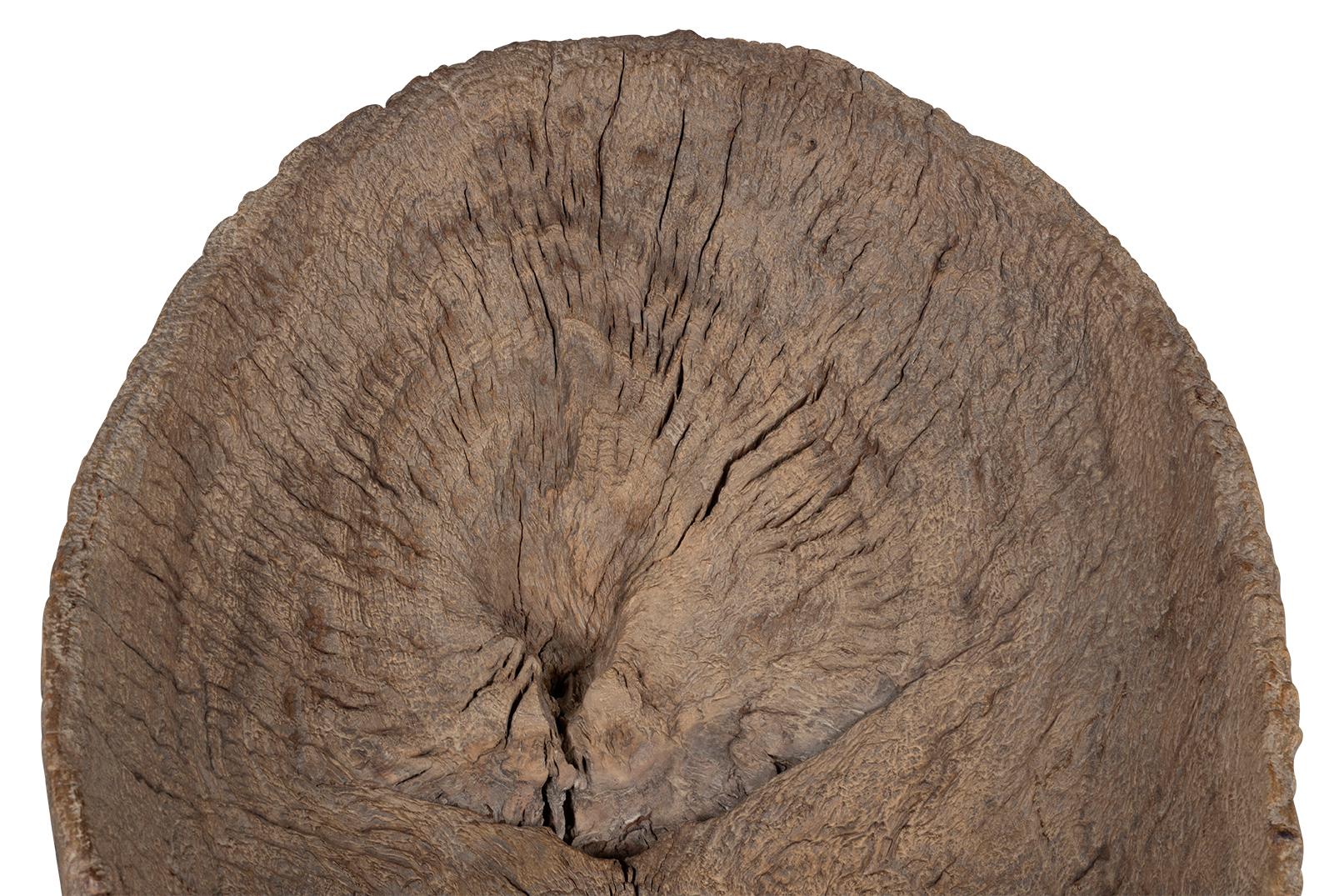 Organic Form Trunk Chair For Sale 1