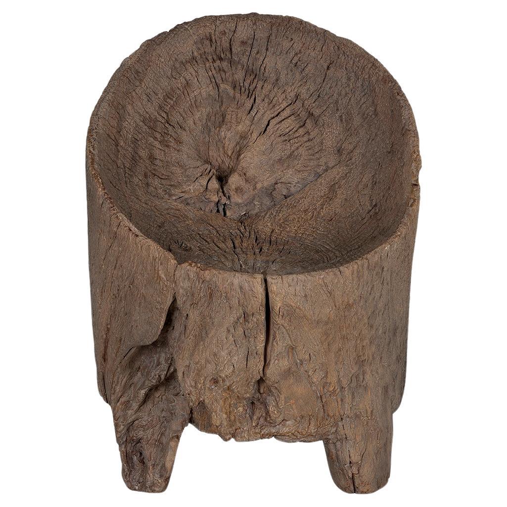 Organic Form Trunk Chair For Sale