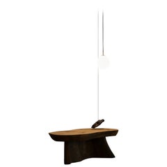 Mesa baja de madera con forma orgánica y lámpara de suspensión de piedra de Jérôme Pereira