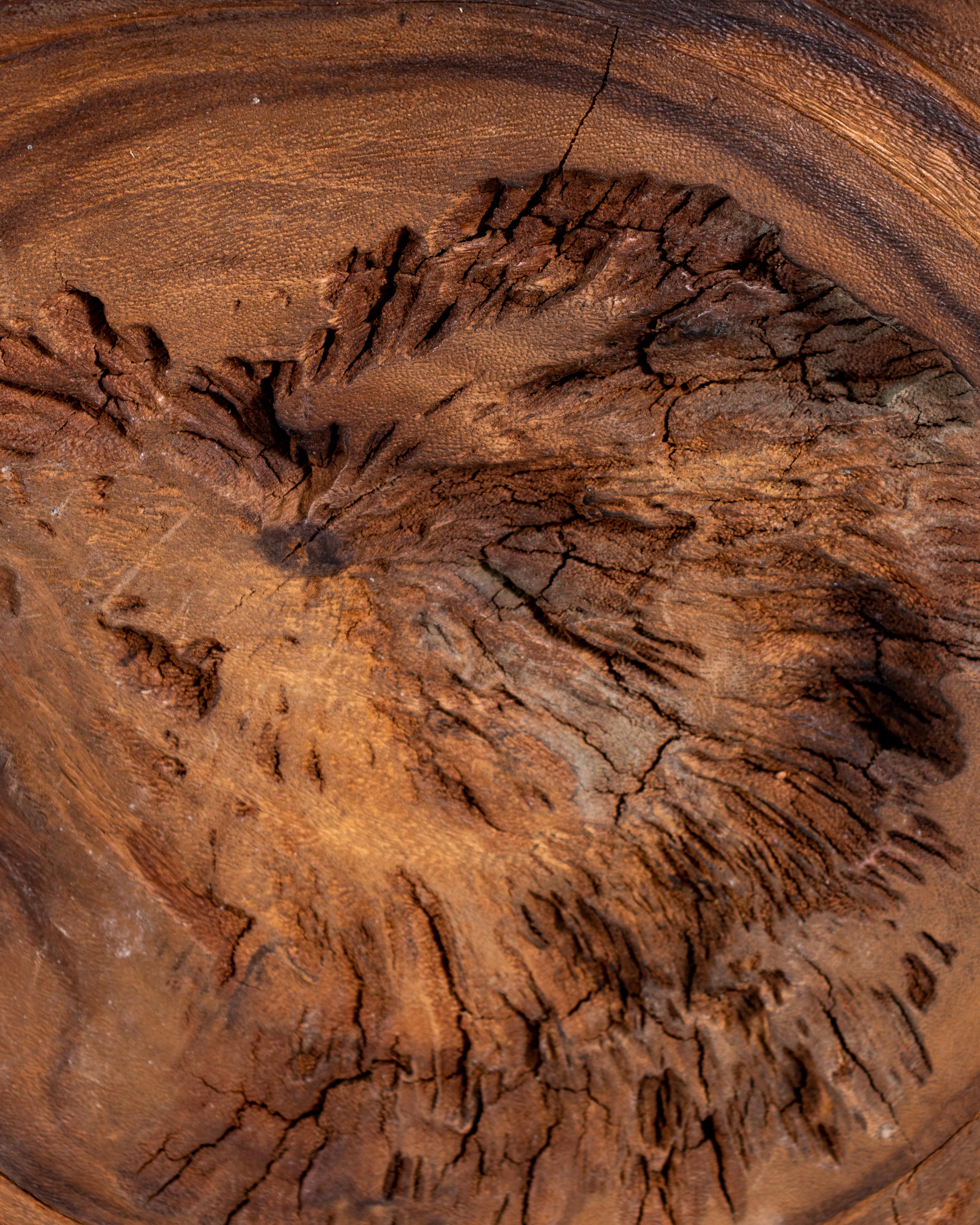 Organic Form Wood Slab Design Coffee Table In Good Condition In Dallas, TX