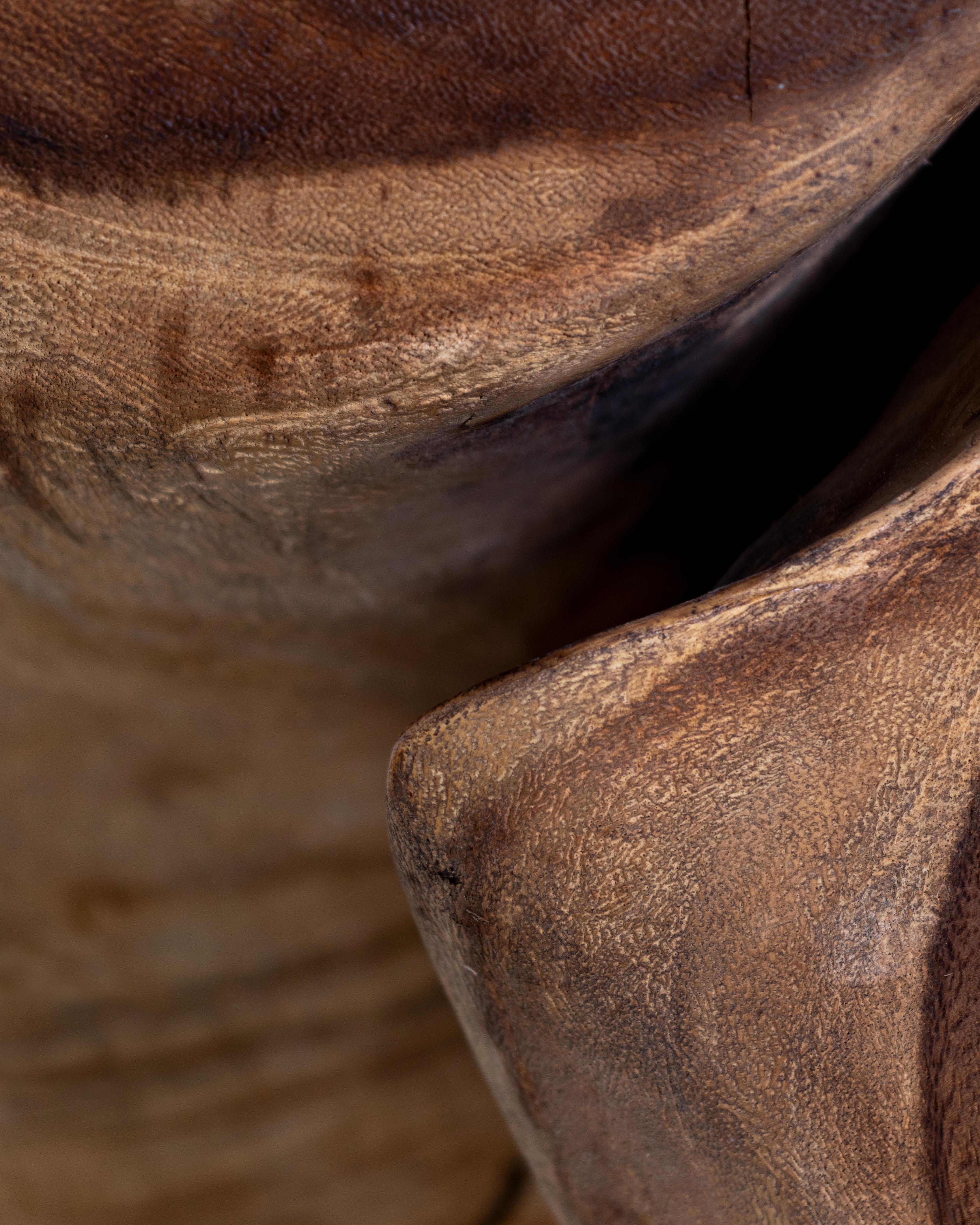 Contemporary Organic Form Wood Slab Design Coffee Table