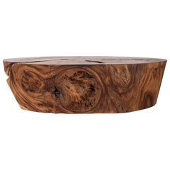 Organic Form Wood Slab Design Coffee Table