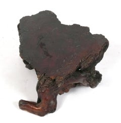 Organic Free Edge Burl Wood Side Table with Root Base