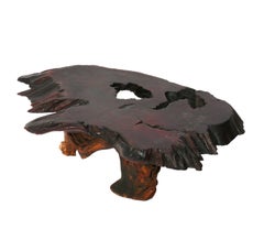 Organic Free Edge Wood Coffee Table with Root Base