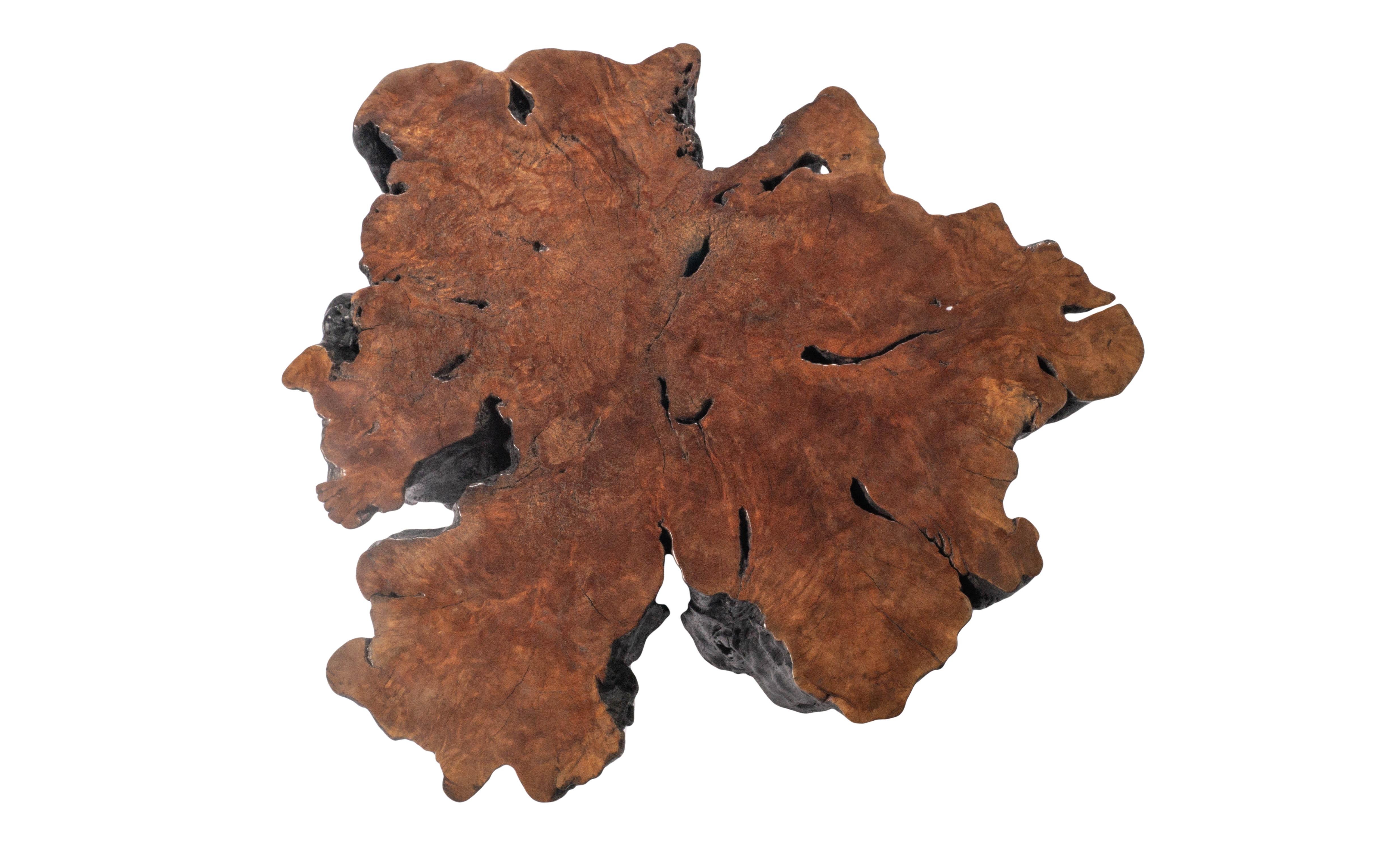 Organic Modern Organic From Polished Lychee Wood Coffee Table