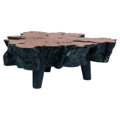 Vintage Organic From Polished Lychee Wood Coffee Table