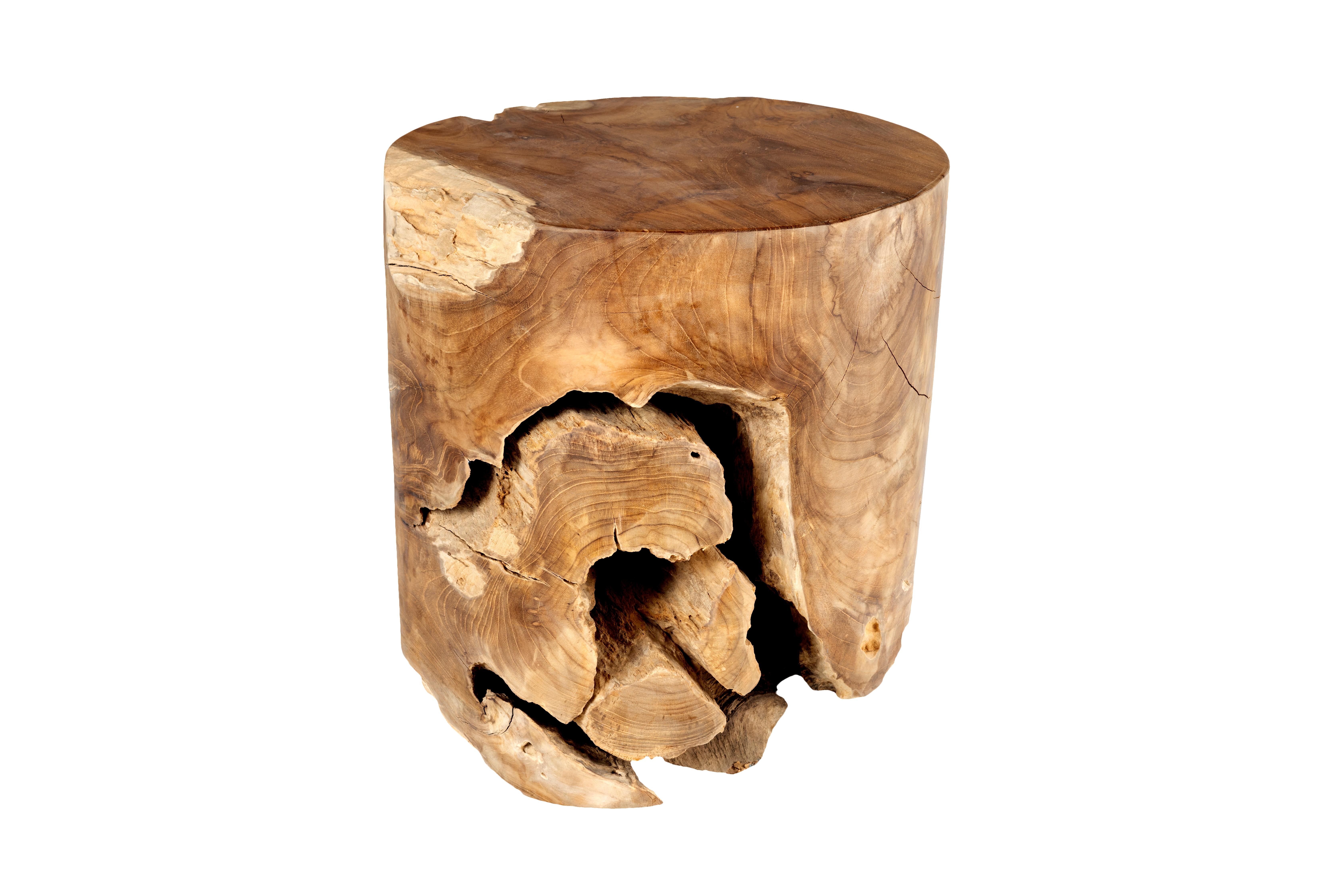 Organic Modern Organic From Tropical Hardwood End Table For Sale