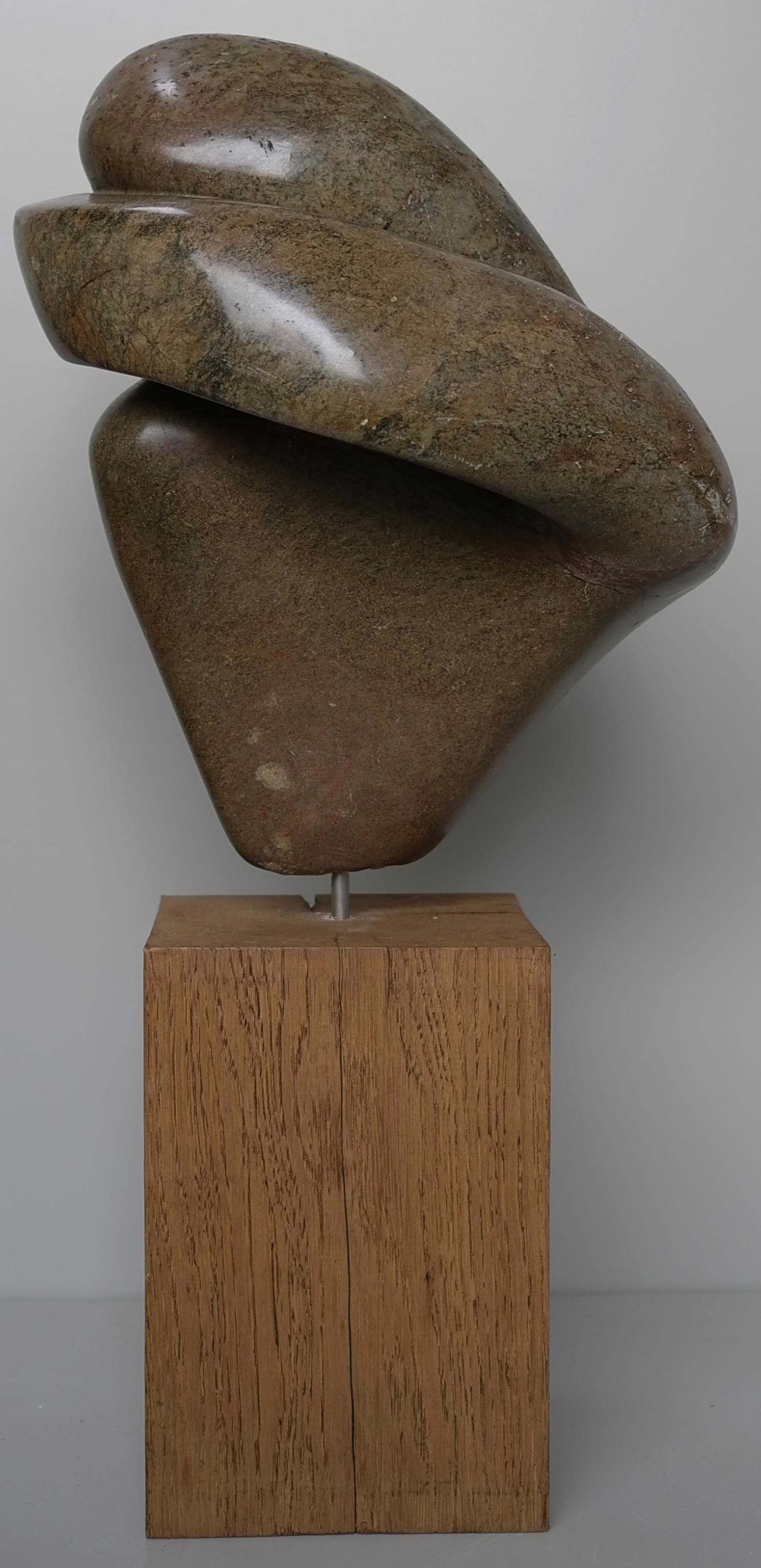 Organic Green and Brown Steatite (Soapstone) Abstract Sculpture, The Netherlands circa 1975

The sizes are including the Oak stand.