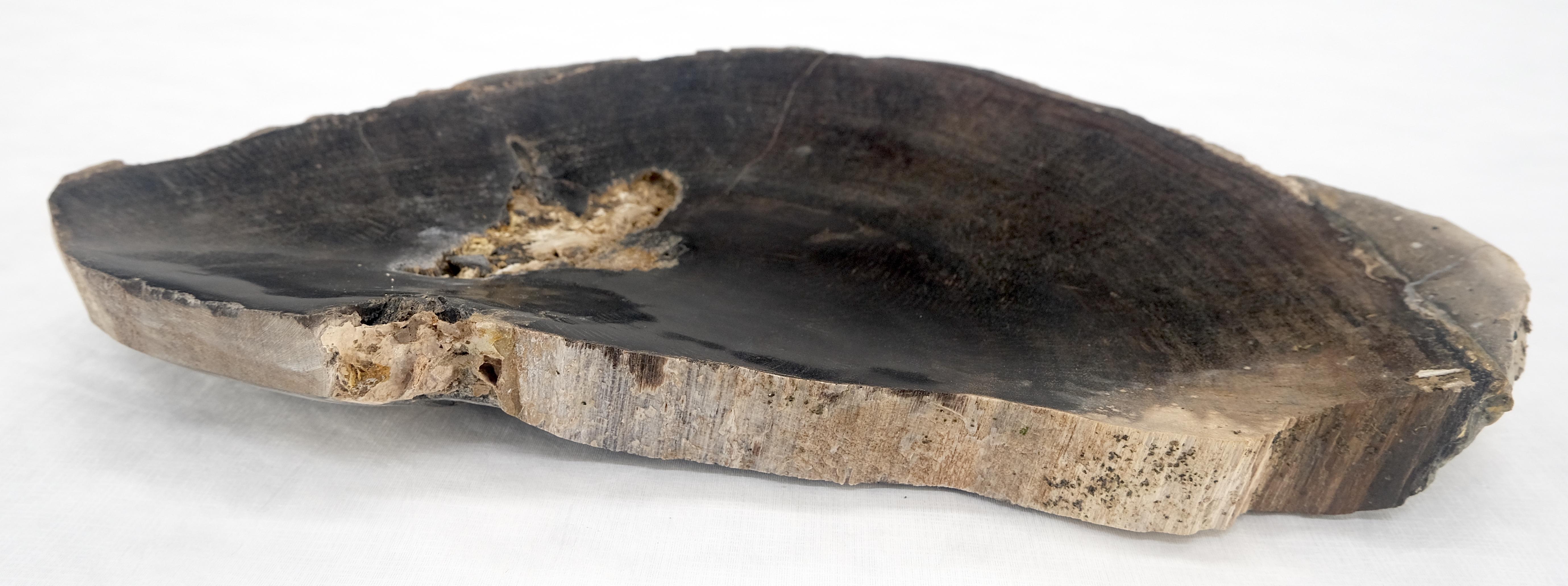 Aschenbecher in halber runder Form in Schwarz & Hellbraun mit versteinertem Holztablett und Schale in Schalenform