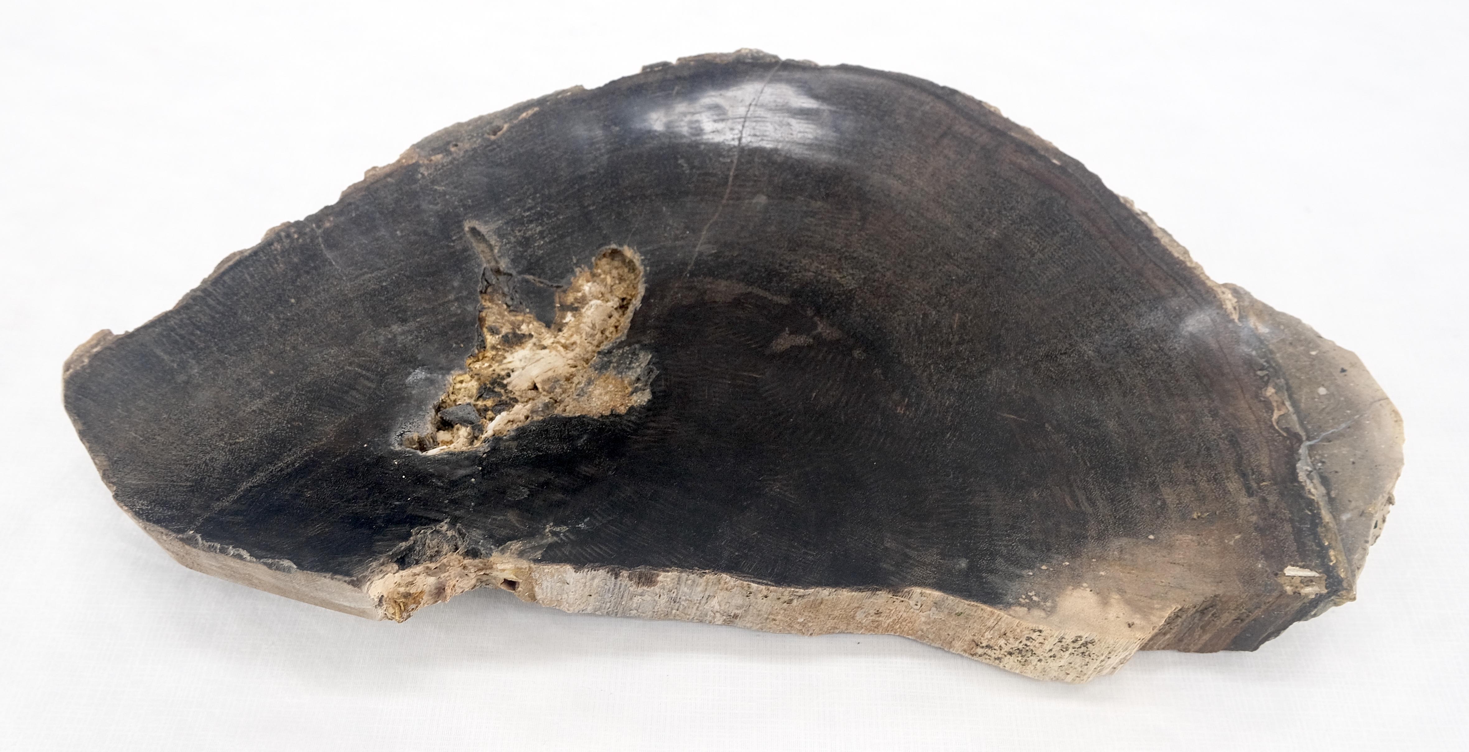 Organic Half Runde Form Schwarz & Tan versteinertes Holz Tablett Schüssel Teller Aschenbecher (Moderne der Mitte des Jahrhunderts) im Angebot